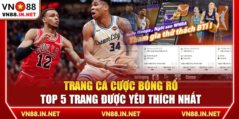 Trang cá cược bóng rổ – Top 5 trang được yêu thích nhất