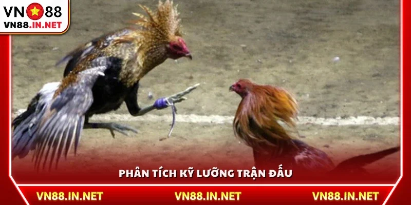 Phân tích trận đấu để đưa ra dự đoán chính xác