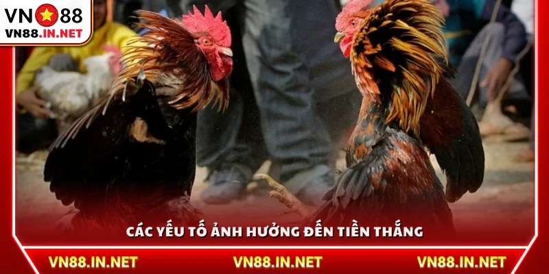 Các yếu tố tác động đến số tiền thắng cược.