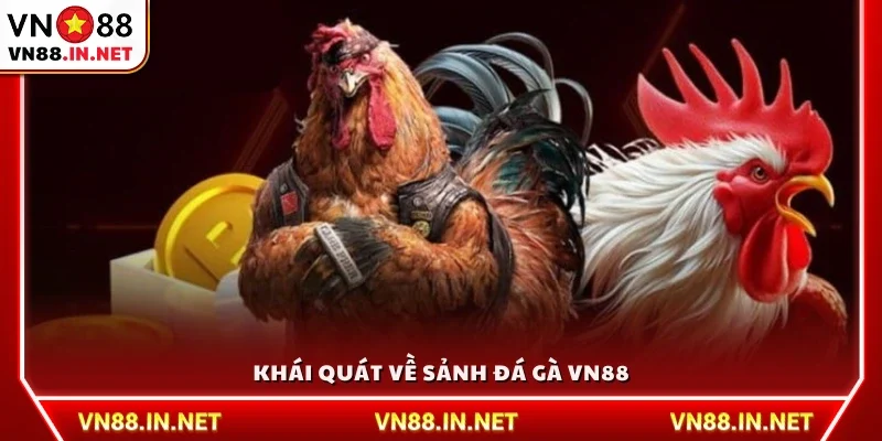 Giới thiệu tổng quan sảnh đá gà VN88