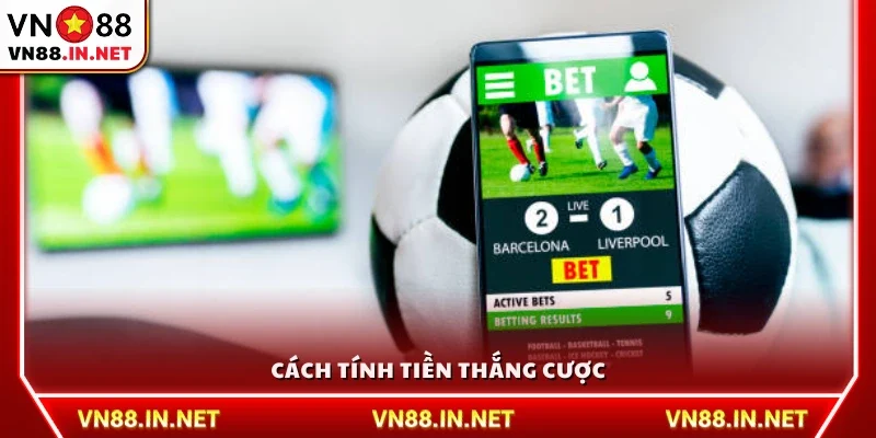 Hướng dẫn tính số tiền thắng dựa trên tỉ lệ kèo