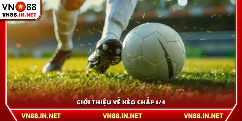 Tìm hiểu về kèo chấp 1/4